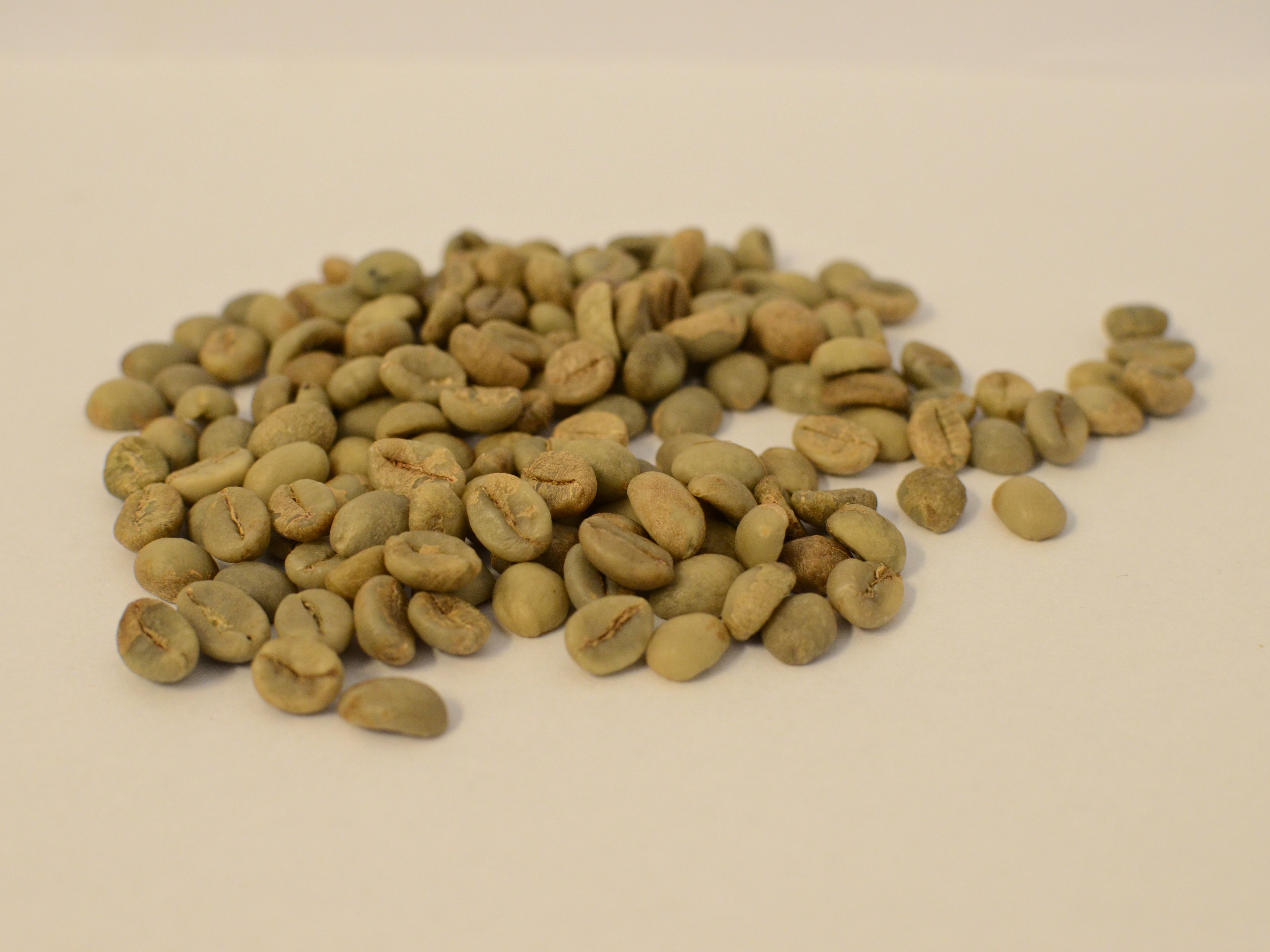 Zelená zrna kávy robusta před pražením.