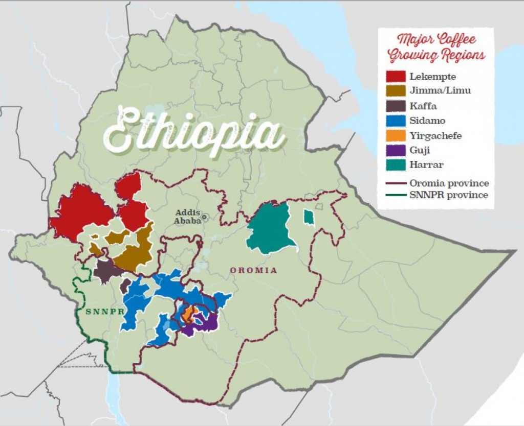 mapa oblastí a regionů produkujících kávu v Etiopii