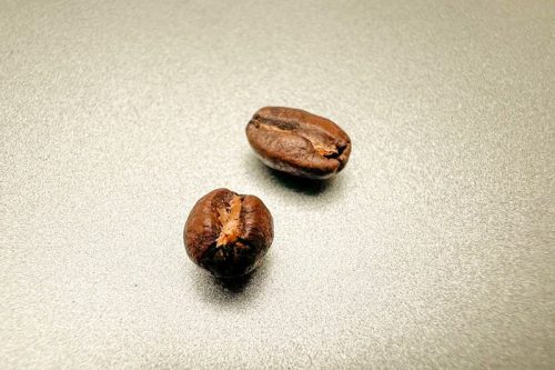 peaberry perlova kava