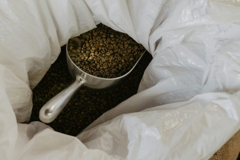 Detailní pohled na zelenou kávu, která může obsahovat defekty, v kontextu analýzy kvality.