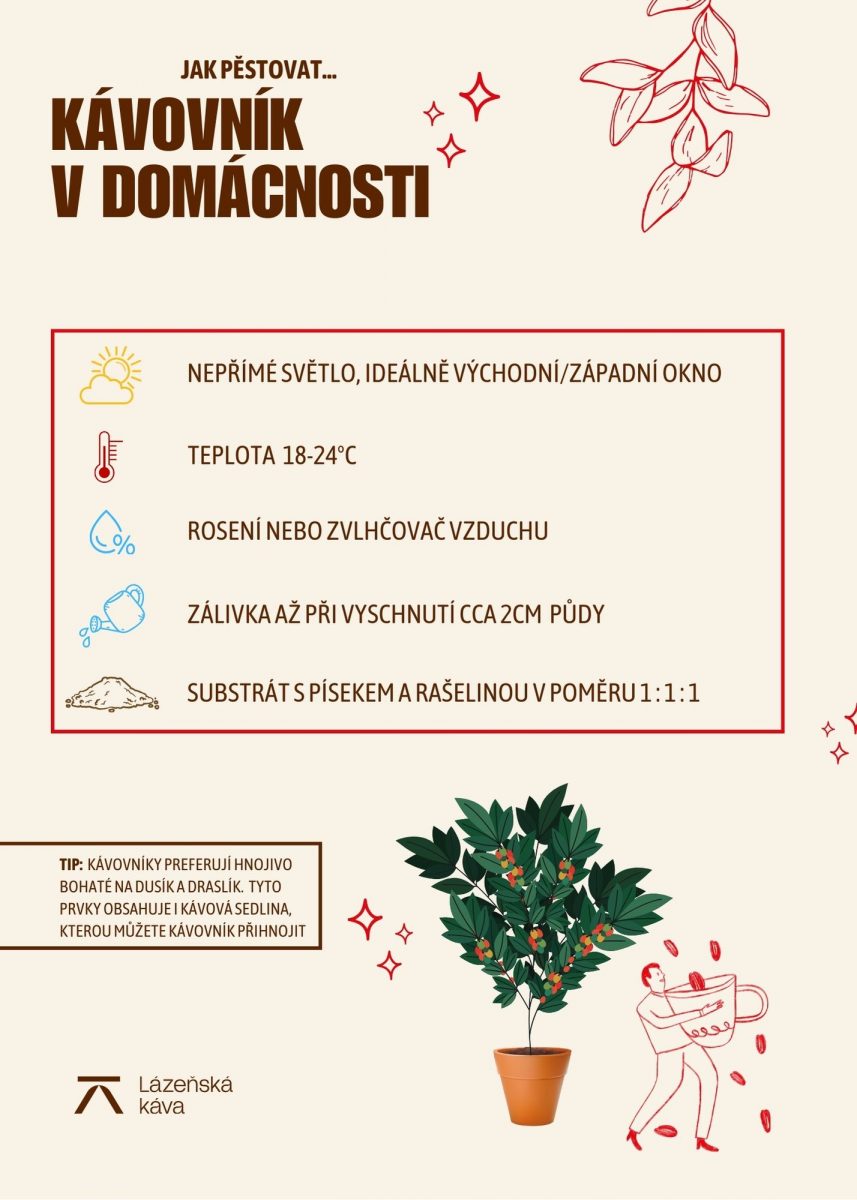 infografika pestovani kavovniku